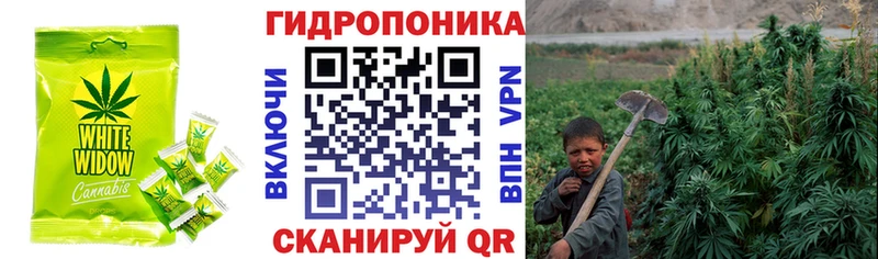 Еда ТГК конопля  купить наркотики цена  Сланцы 