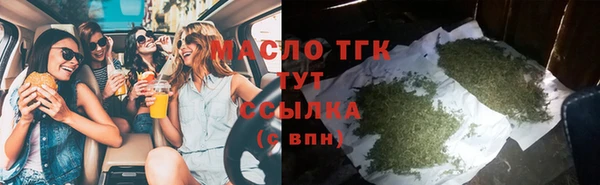 МДПВ Дмитриев