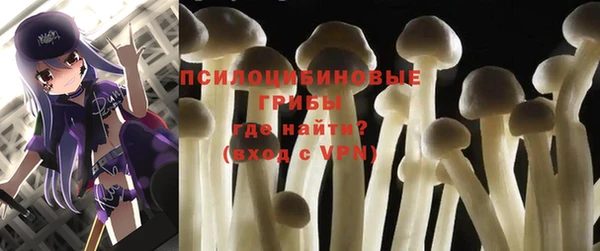 гашиш Ельня