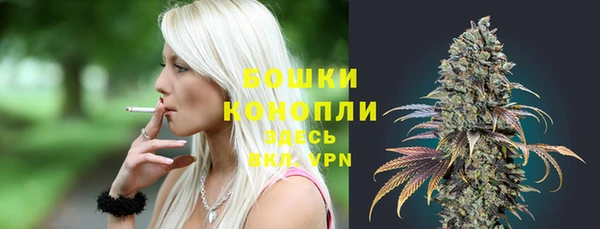 хмурый Дмитровск