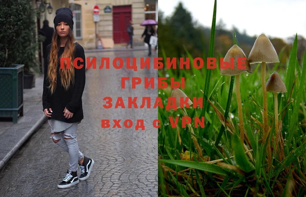гашиш Ельня