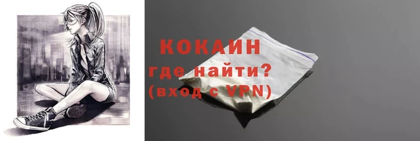 хмурый Дмитровск