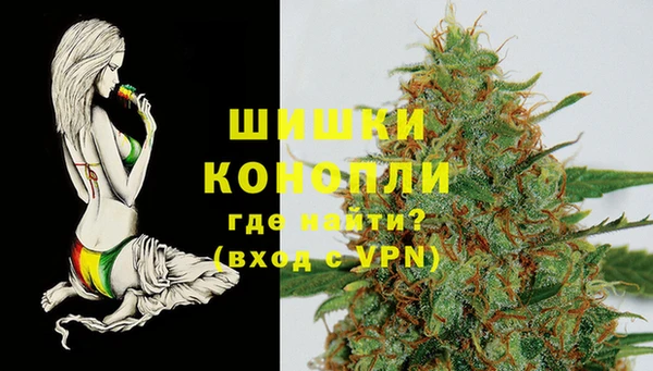 МДПВ Дмитриев