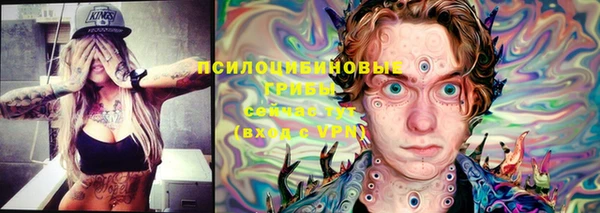 хмурый Дмитровск
