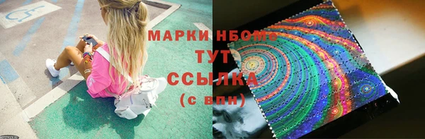 МДПВ Дмитриев