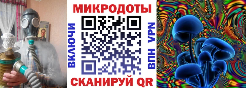 Галлюциногенные грибы Psilocybe mega онион Сланцы где купить