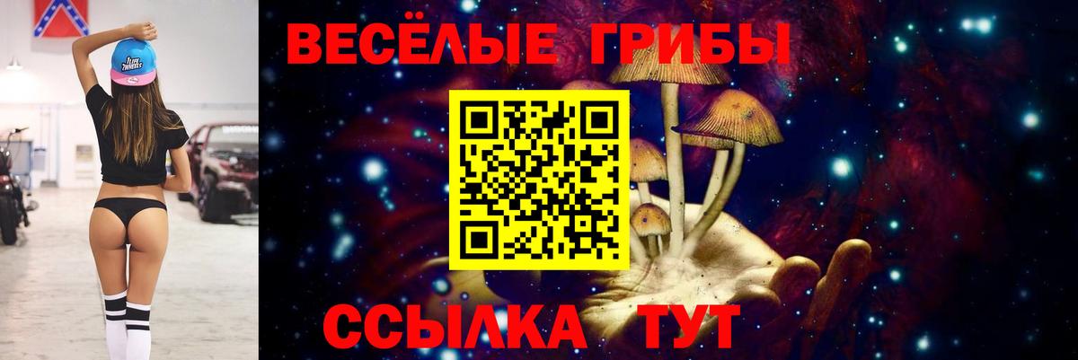 Псилоцибиновые грибы прущие грибы  Вход с VPN  Сланцы 