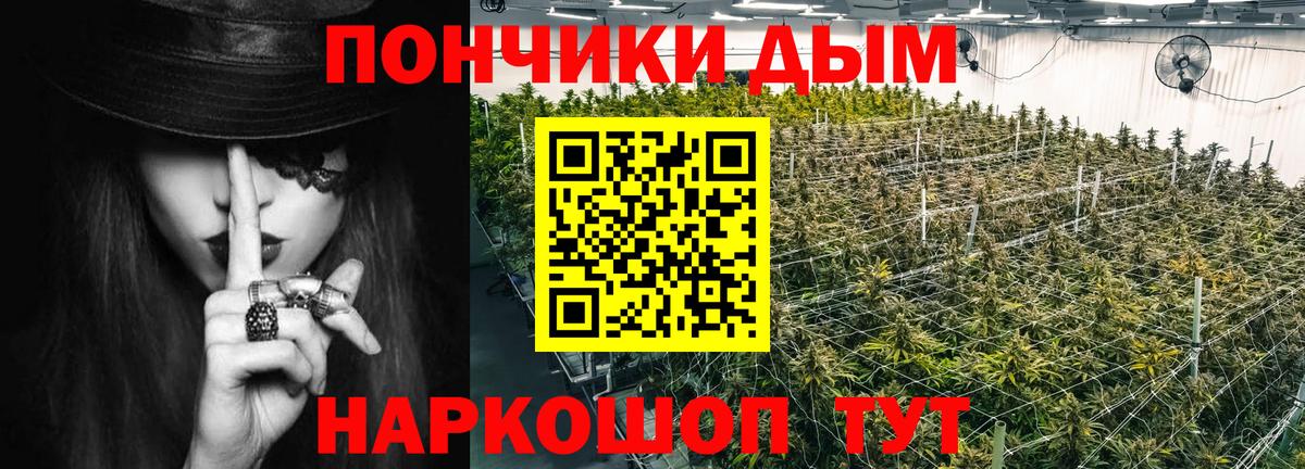 Марихуана сатива Сланцы